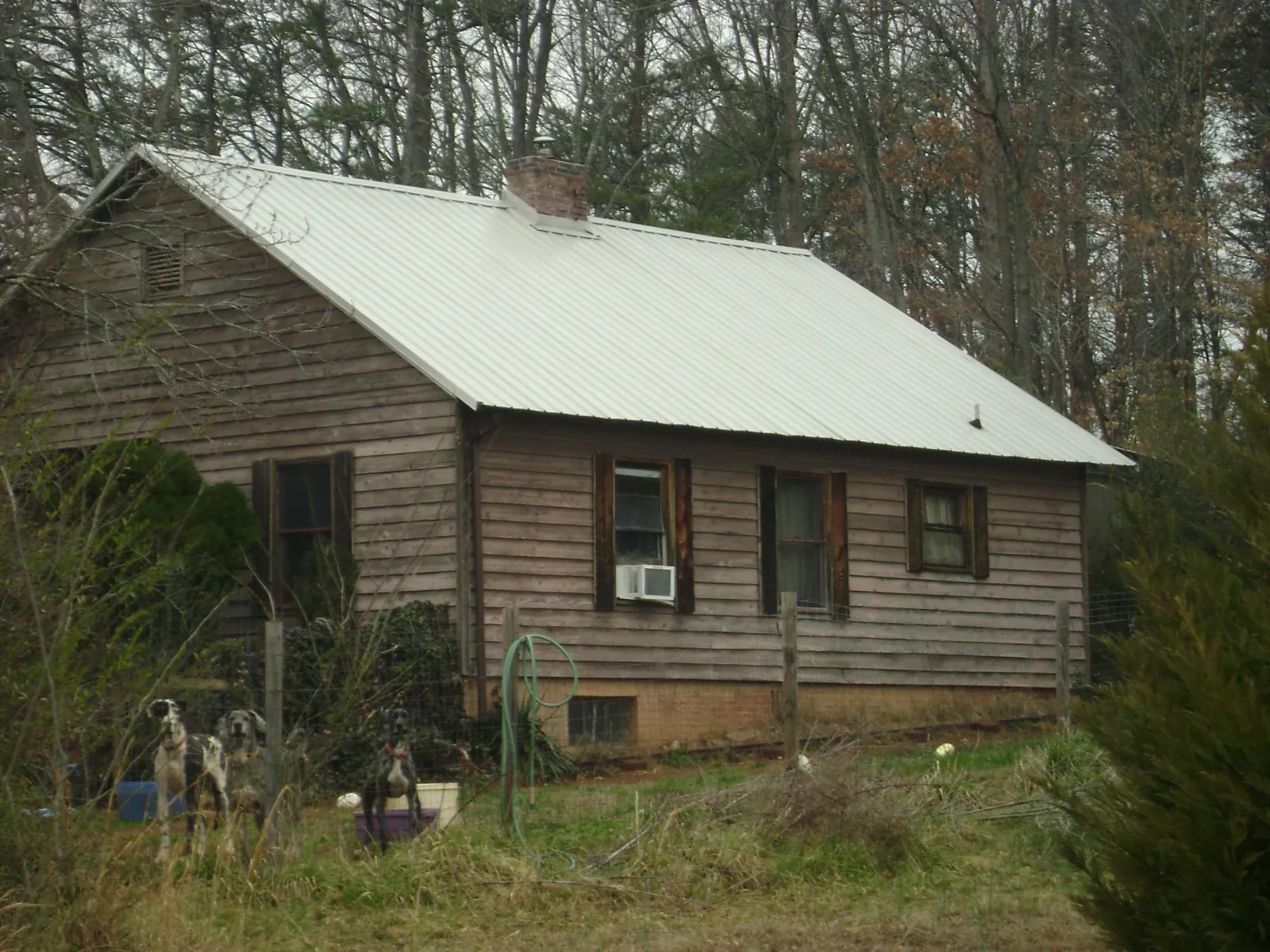 White metal roof on an old wood sided farmhouse, from a Asphalt Shingle Roof Repair job in East Galesburg